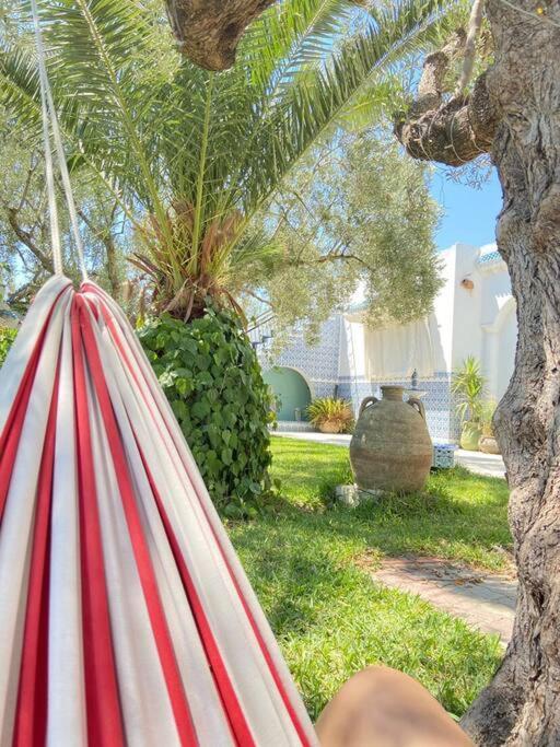 Maison Dimess Sousse